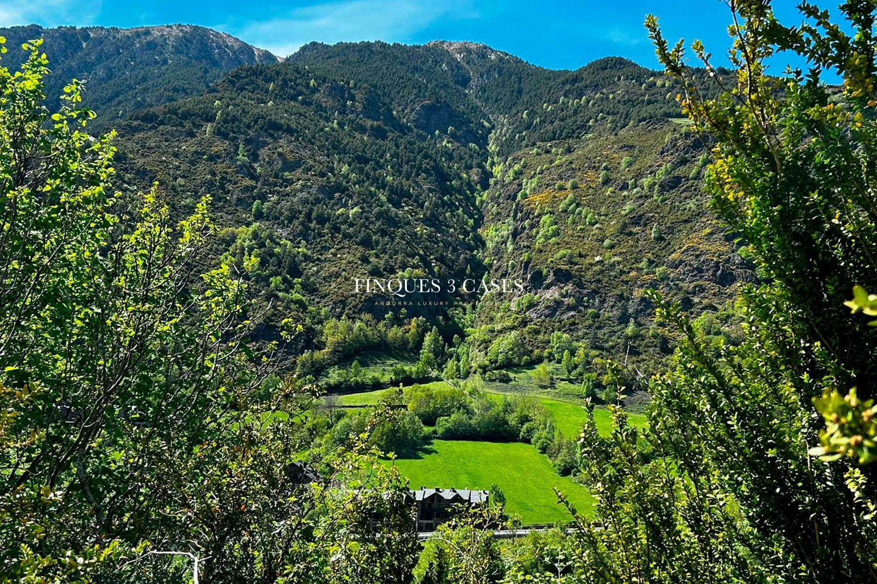 Land to buy in Arans, Ordino 4