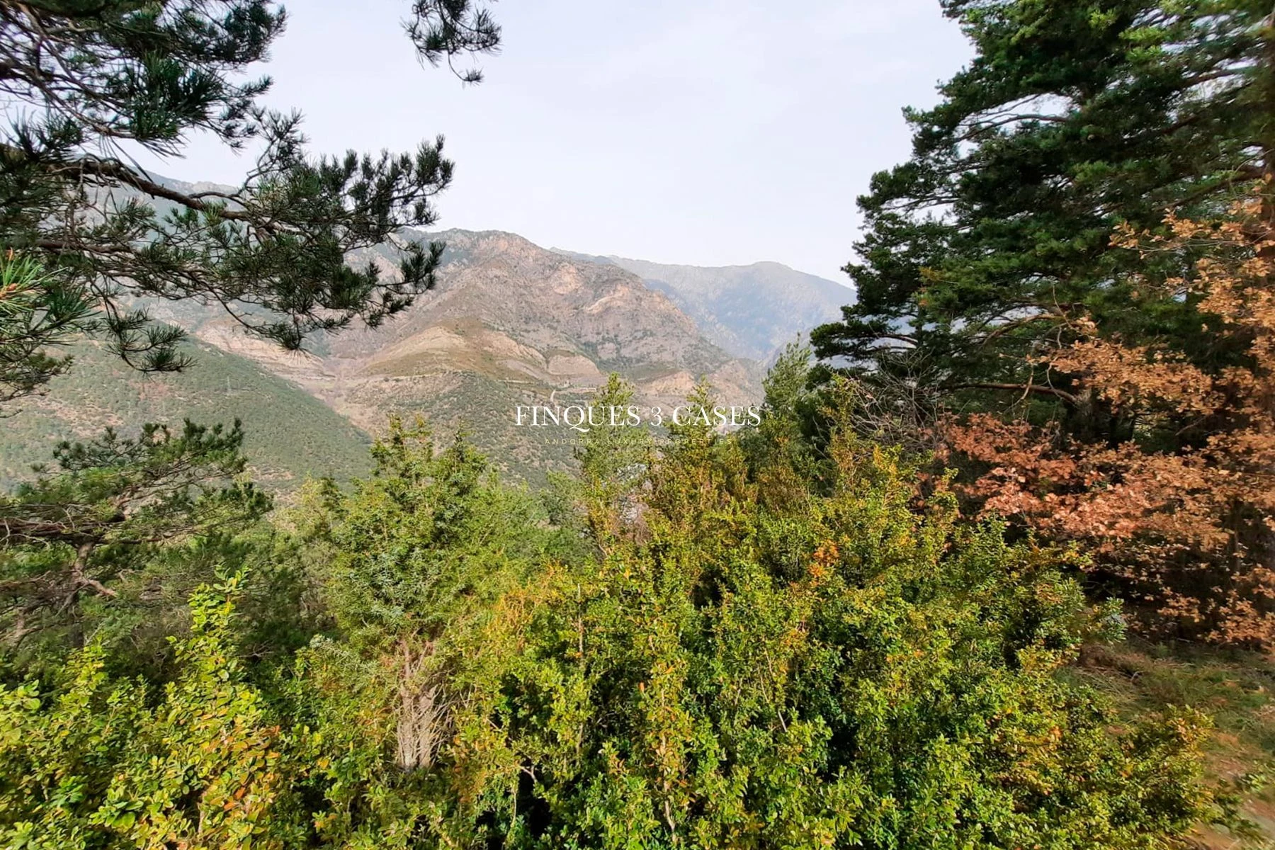 Land to buy in Auvinyà - Sant Julià de Lòria 7