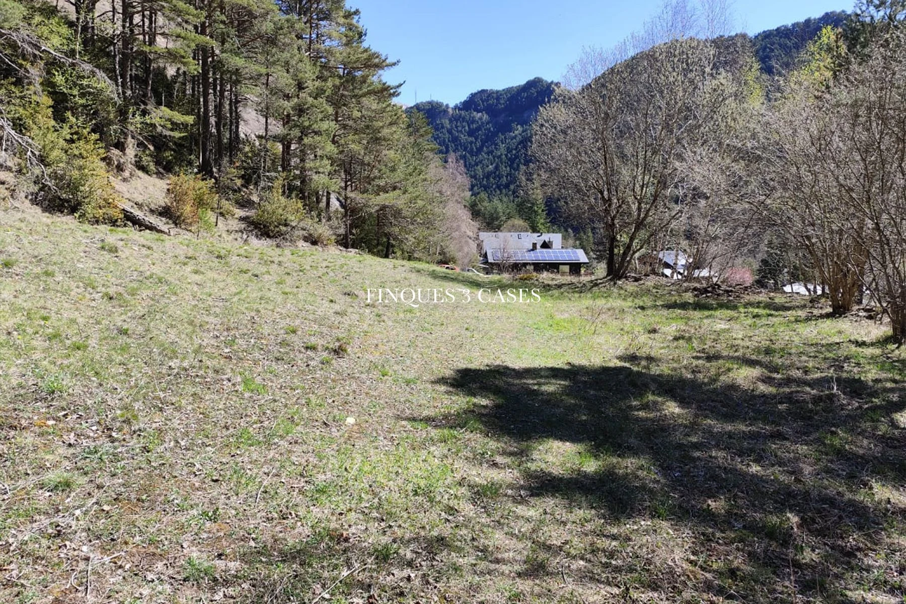 Terrain exclusif à vendre à Xixerella, La Massana 3