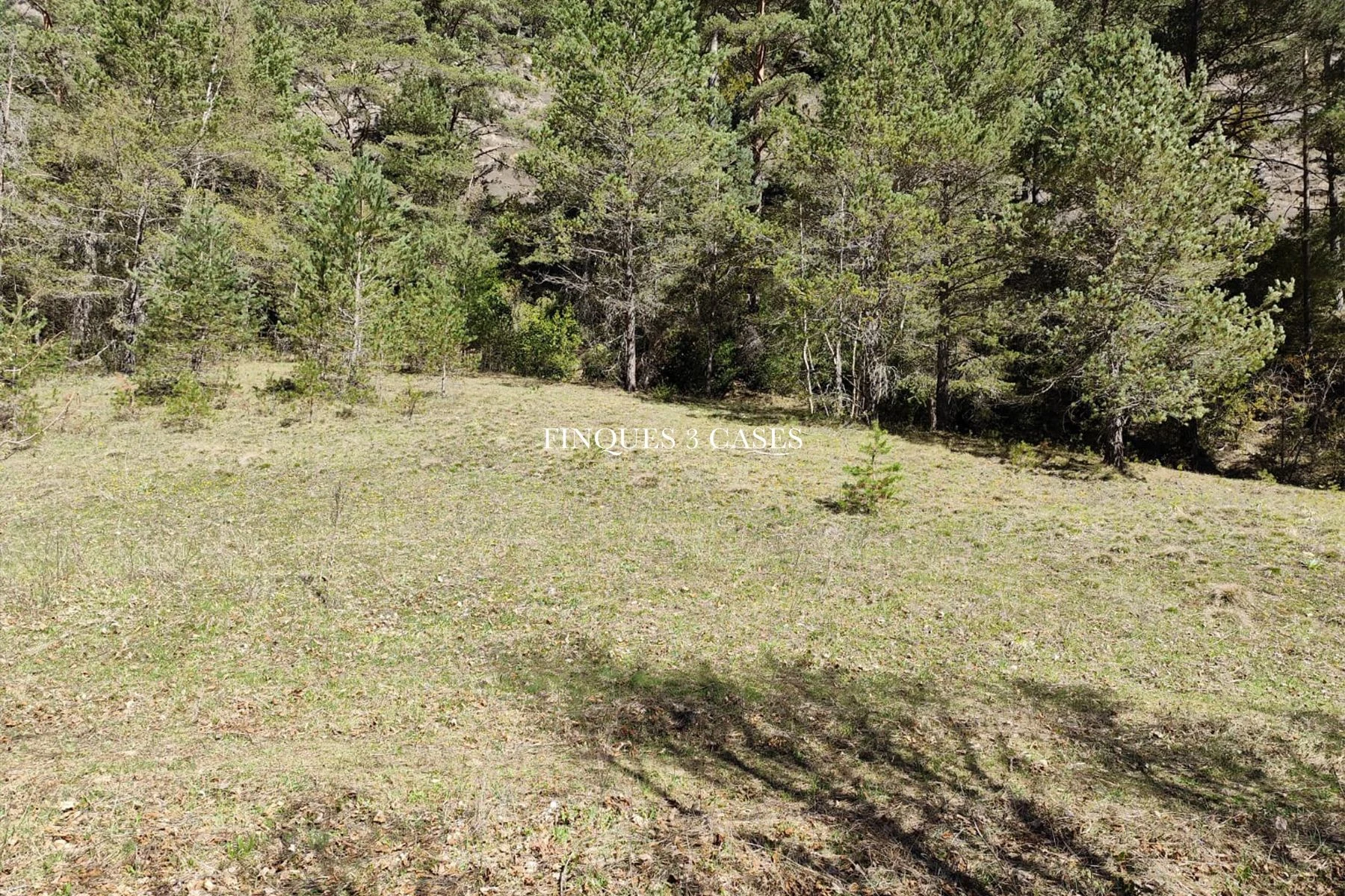 Terrain exclusif à vendre à Xixerella, La Massana 4