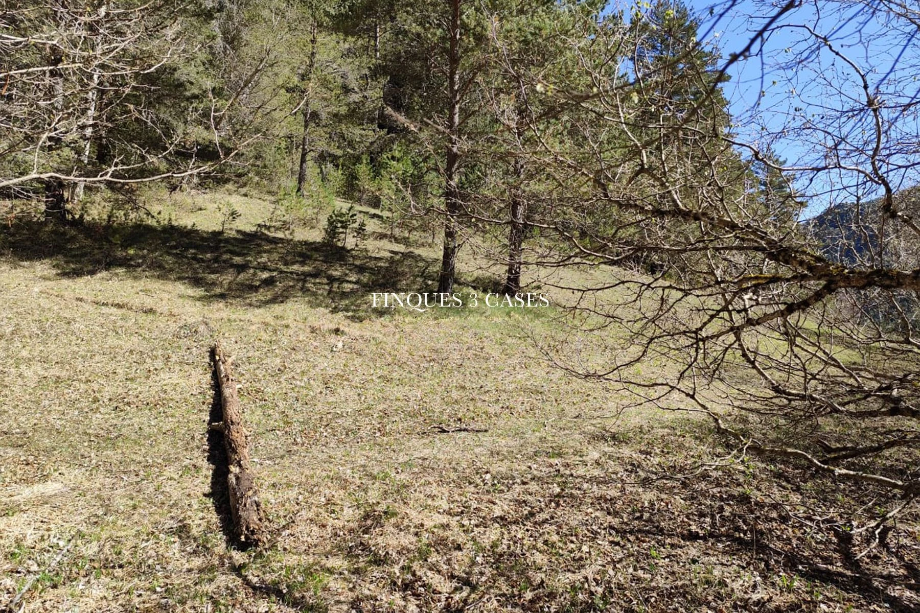 Terrain exclusif à vendre à Xixerella, La Massana 7