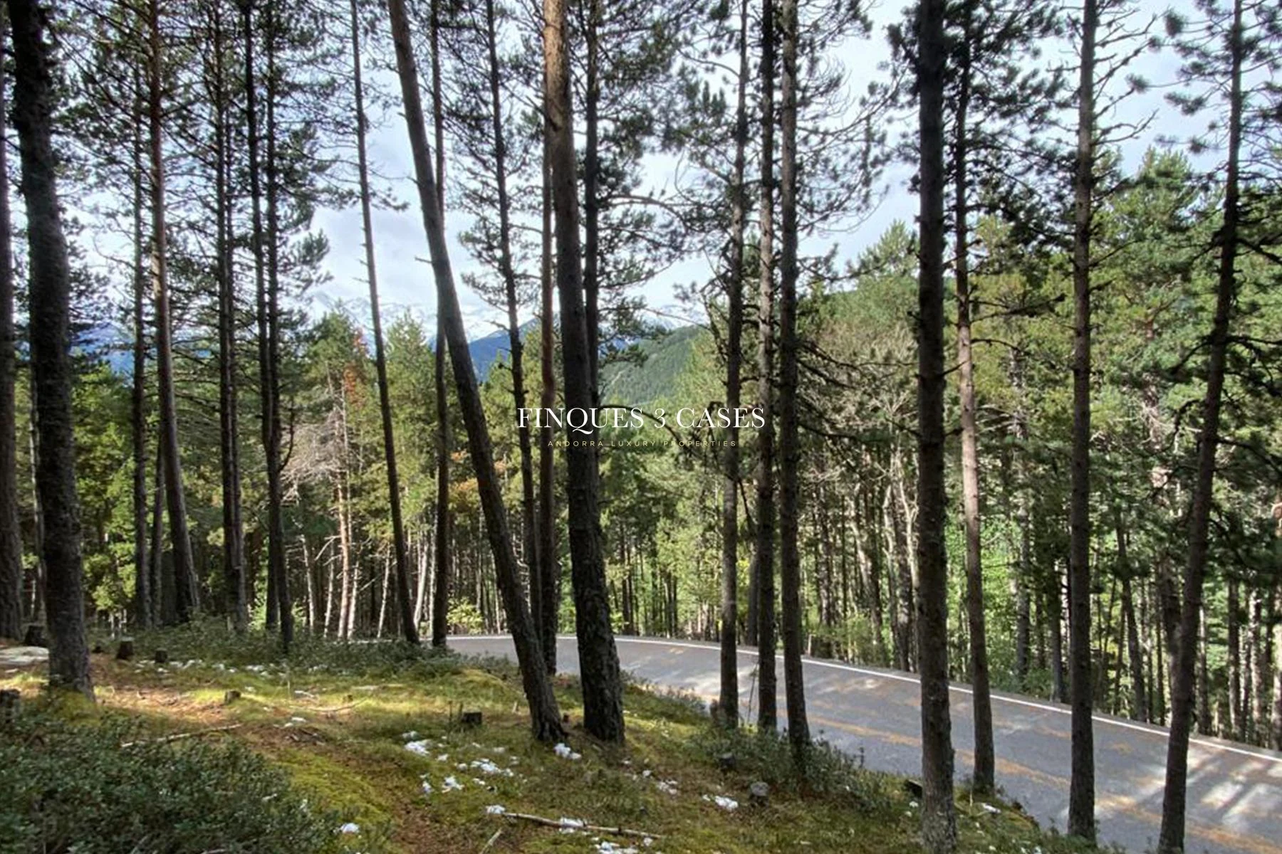 Exclusive Plot for Sale in Anyós, La Massana 3