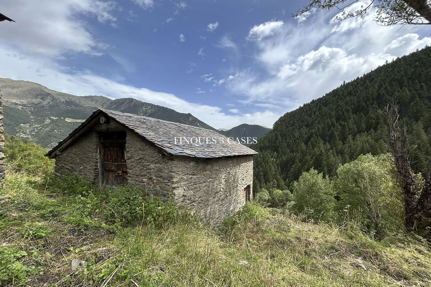 Exclusive Plot with Traditional Bordas for Sale in Arinsal