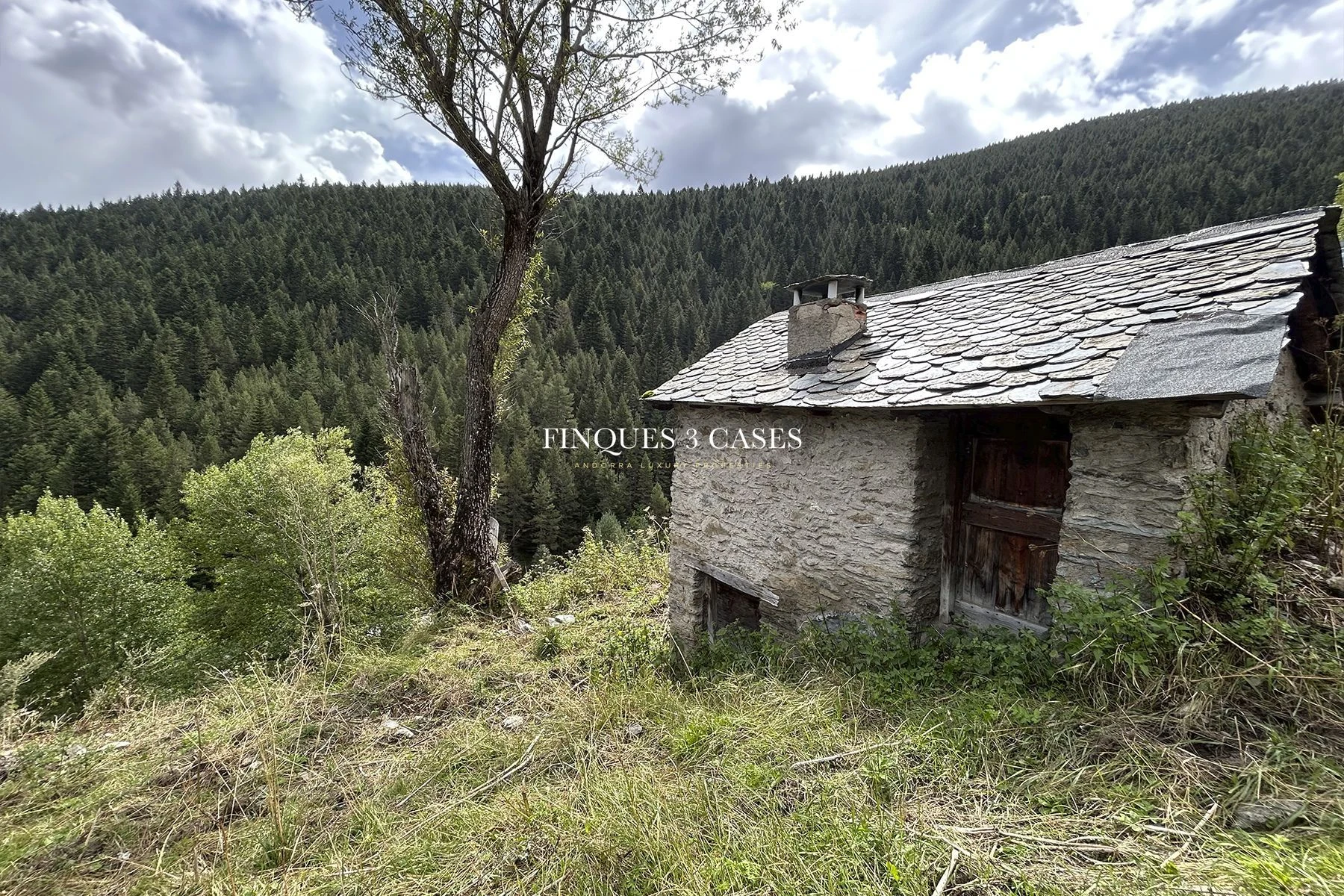 Terrain exclusif avec bordes à vendre à Arinsal 5
