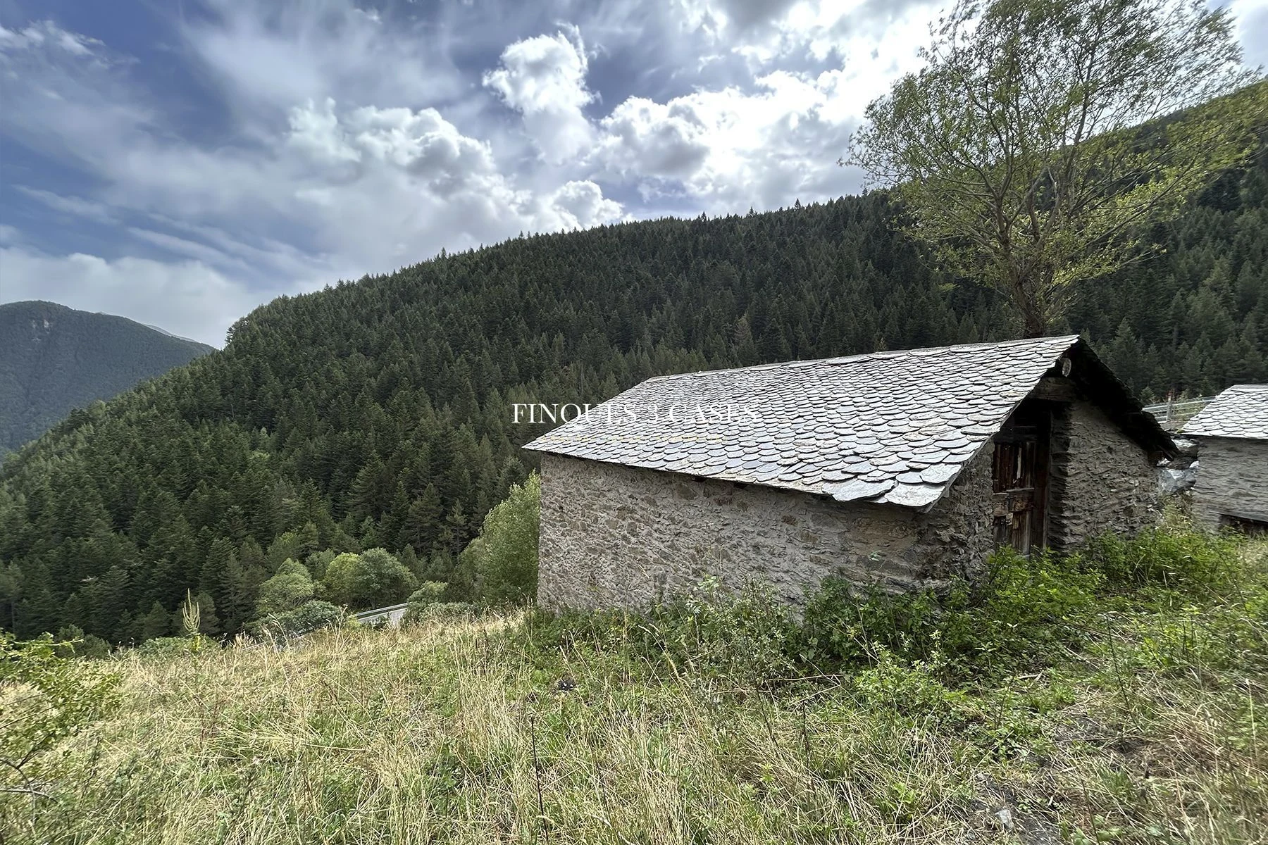Terrain exclusif avec bordes à vendre à Arinsal 6