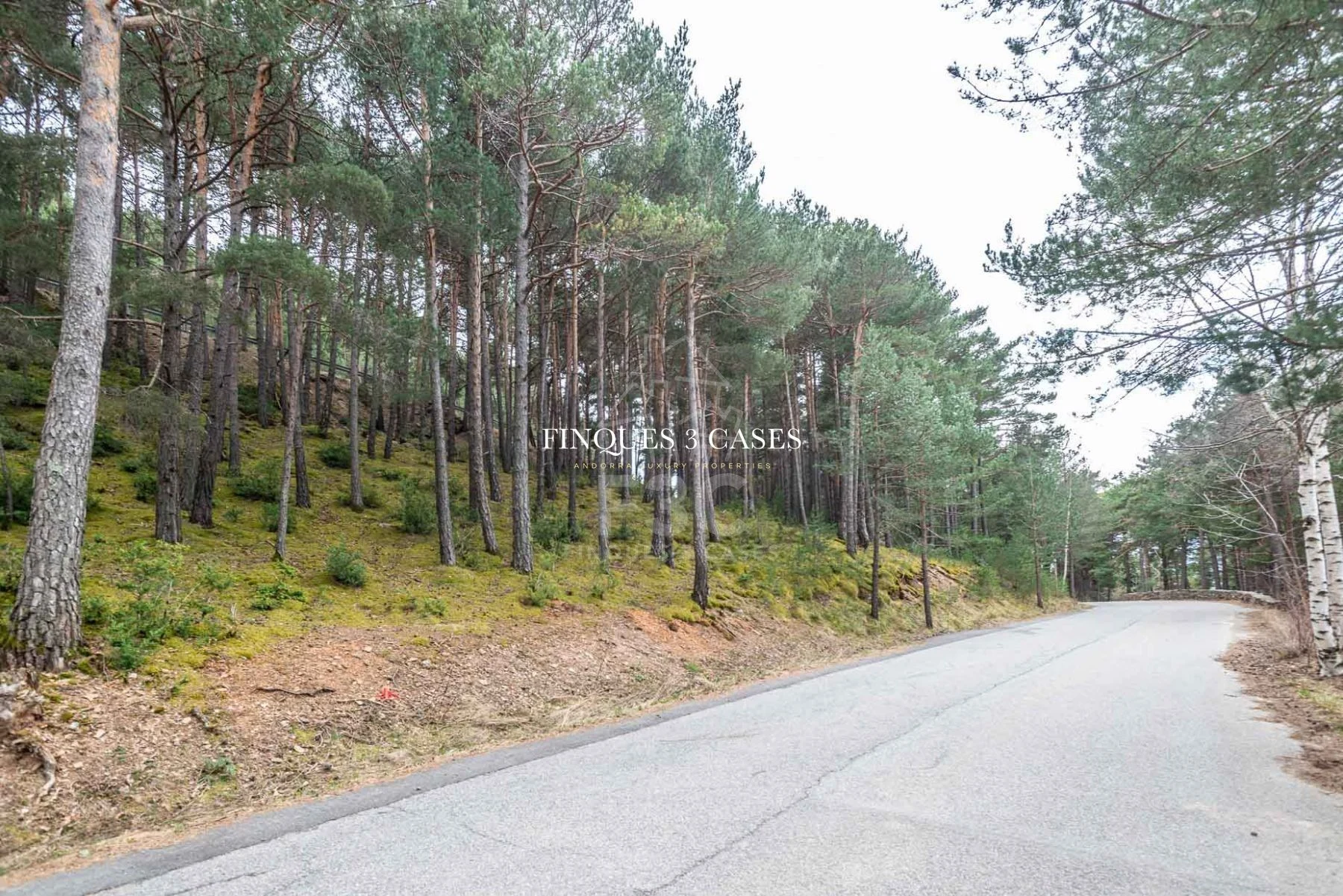 Plot of land for sale in Juberri 2