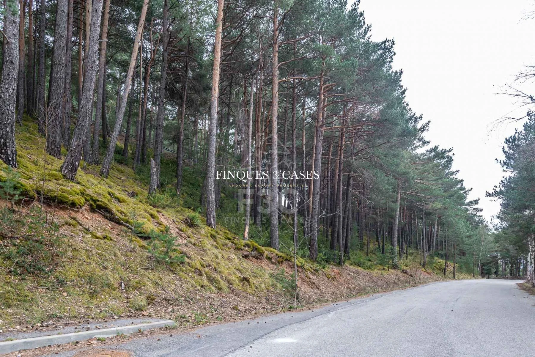 Plot of land for sale in Juberri 6