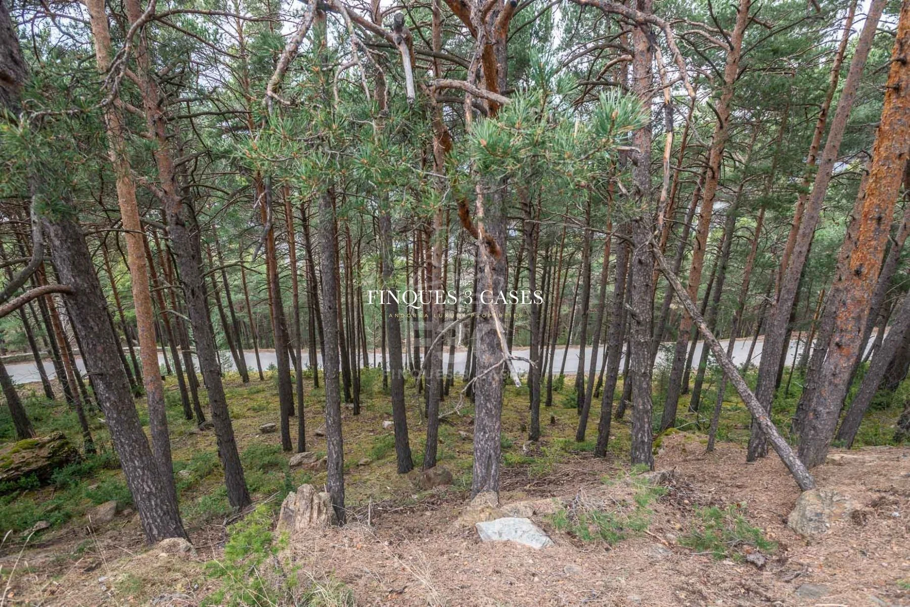 Plot of land for sale in Juberri 7