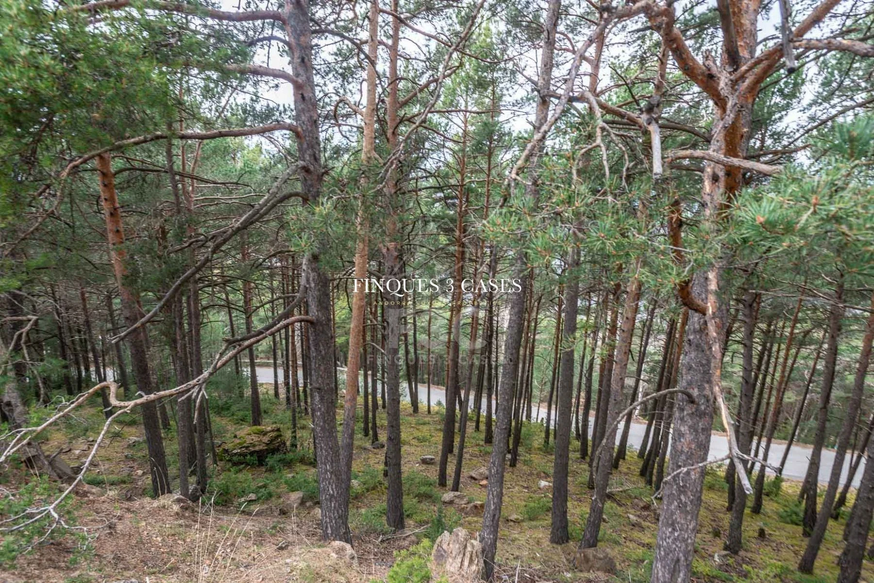 Plot of land for sale in Juberri 8