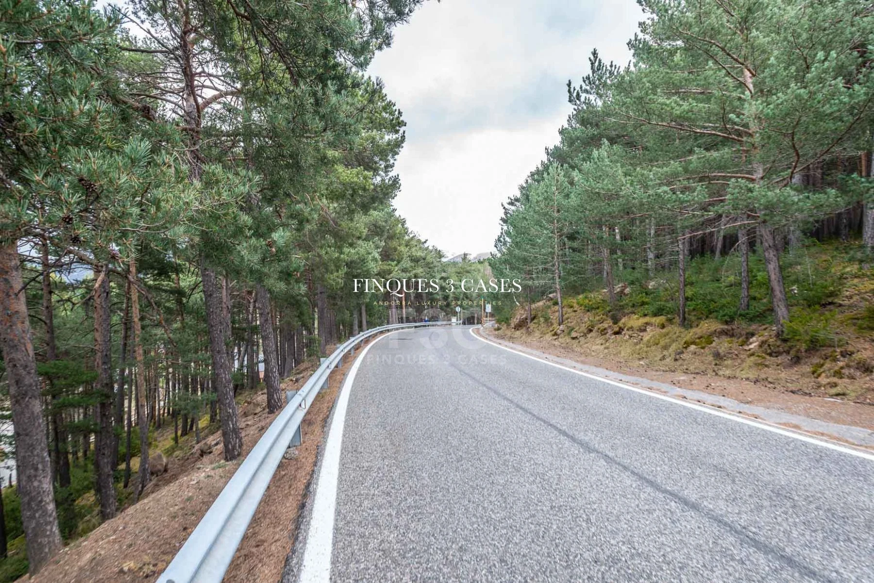Plot of land for sale in Juberri 10