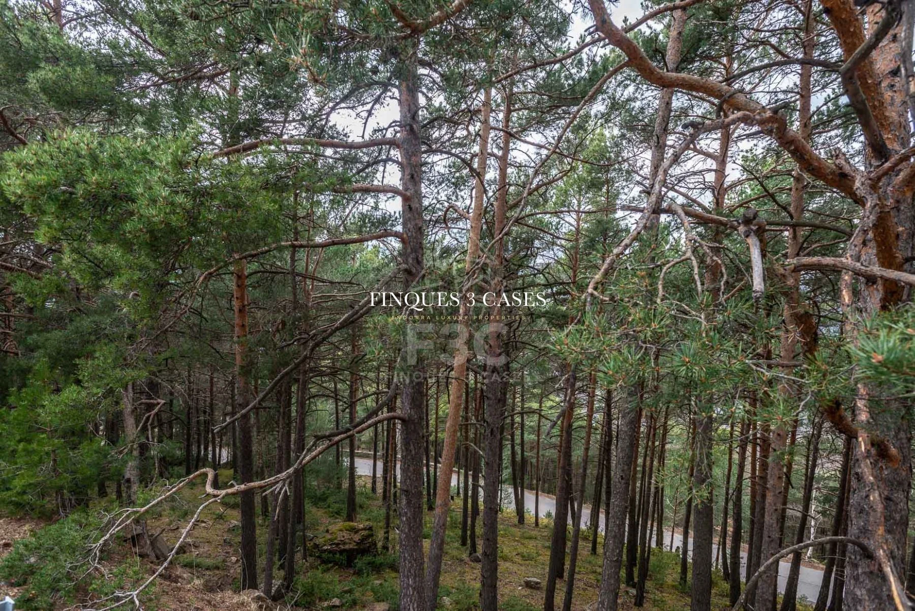 Plot of land for sale in Juberri 11