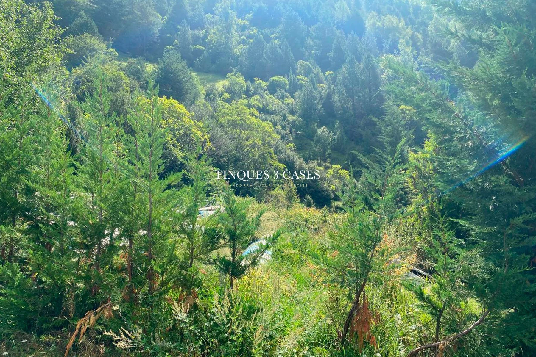 Land to buy in Arans, Ordino 4