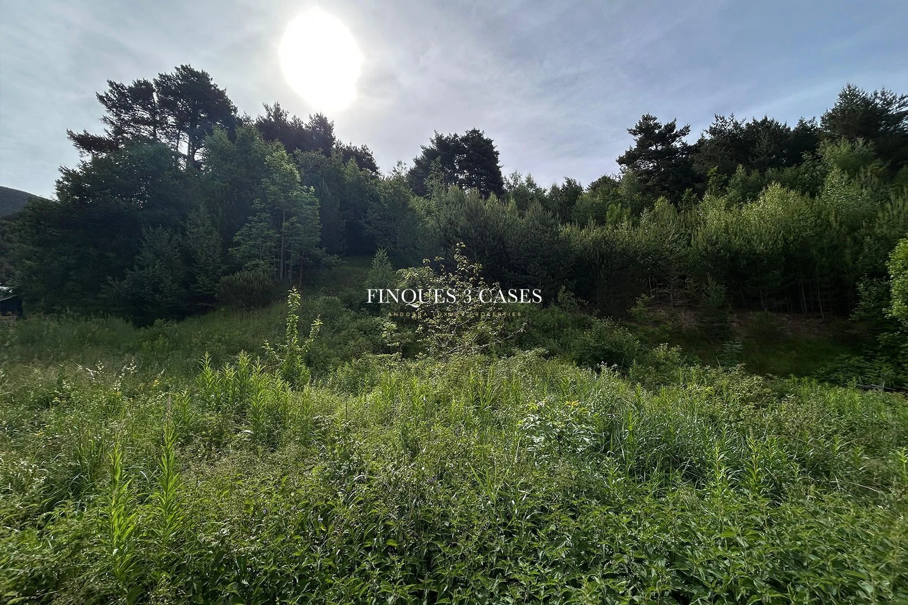 Exclusive Plot of Land for Sale in Anyós 4
