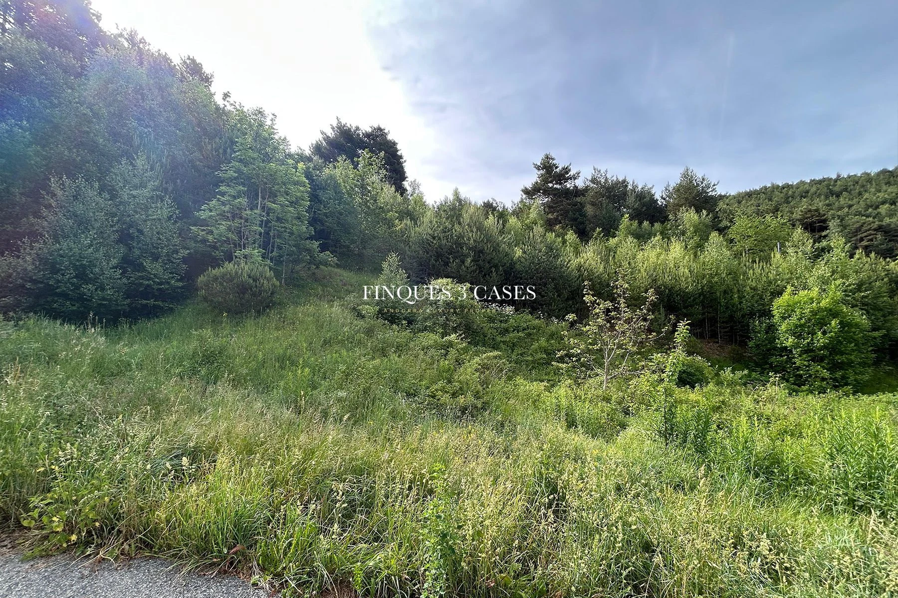 Exclusive Plot of Land for Sale in Anyós 5